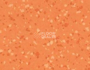 Линолеум Gerflor Taralay Premium Brazilia 8157 Goias фото 1 | FLOORDEALER